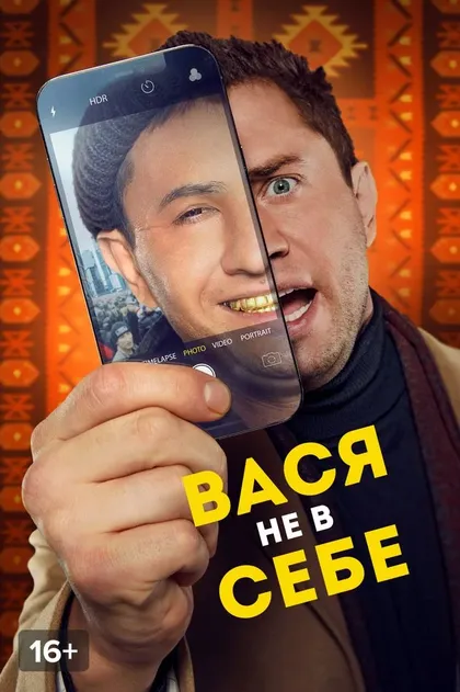 Постер Вася не в себе